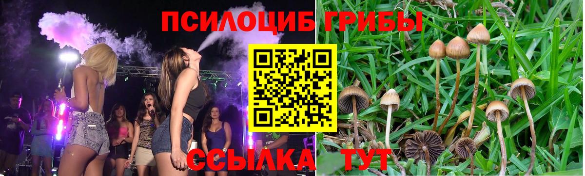 Уварово  Псилоцибиновые грибы Magic Shrooms  Галлюциногенные грибы Psilocybine cubensis  Вход с VPN 